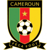 Kamerun MŚ 2022 Męskie